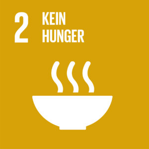 SDG icon DE 02 - ZukunftsFehnTour