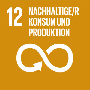 SDG icon DE 12 - ZukunftsFehnTour